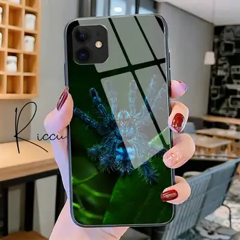 Nobby mėlyna mielas voras gyvūnų Telefono dėklas Grūdintas Stiklas iPhone 11 Pro XR XS MAX 8 X 7 6S 6 Plus SE 2020 m. 12 Pro Max Mini atveju