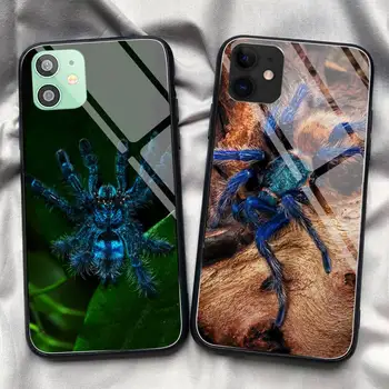 Nobby mėlyna mielas voras gyvūnų Telefono dėklas Grūdintas Stiklas iPhone 11 Pro XR XS MAX 8 X 7 6S 6 Plus SE 2020 m. 12 Pro Max Mini atveju