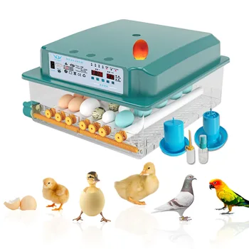Vištienos brooder inkubatorius automatinė kiaušinių inkubatorius perėjimas mašina viščiukų inkubatorių namų inkubatoriuje valdytojo ūkyje Kiaušiniai 36