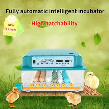 Vištienos brooder inkubatorius automatinė kiaušinių inkubatorius perėjimas mašina viščiukų inkubatorių namų inkubatoriuje valdytojo ūkyje Kiaušiniai 36