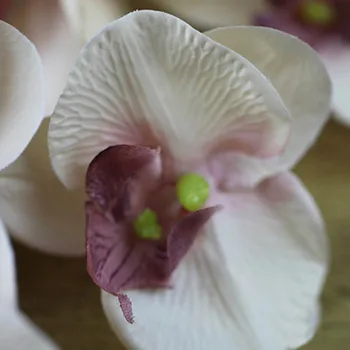 110CM 11 Vadovai Šilko Orchidėja Phalaenopsis Gėlės 