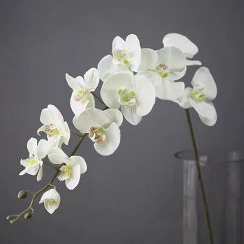 110CM 11 Vadovai Šilko Orchidėja Phalaenopsis Gėlės 