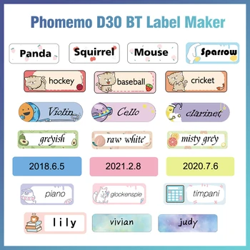 Phomemo D30 Mini 