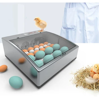 220V Kiaušiniai Inkubatoriaus Brooder Viščiukų, Ančių Hatcher Automatinis Inkubatorius Paukščių Hatcher Turner Inkubacijos Įrankis
