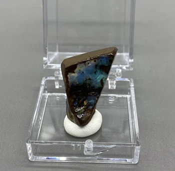 Natūralus retas Australijos geležies opal (fotografuotas, šlapia vandens valstybės) gem mineralinių mėginių kvarco brangakmenių dėžutės dydis 3.4 cm
