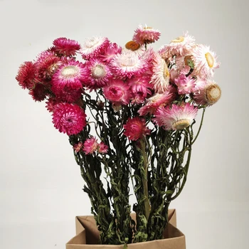 20 Galvučių Dekoratyvinių Natūralių Džiovintų Gėlių Daisy Sausų Gėlių Puokštės Vestuvių Natūralių Augalų Išsaugoti Gėlių Namų Kambario Dekoro