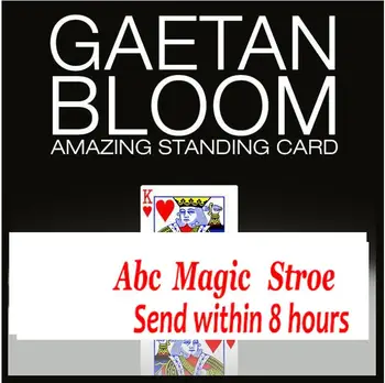 Nuostabi Nuolatinis Kortelės Gaetan Bloom , Magija instrukcija,triukui