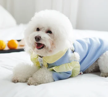 2021 Naujų Šunų Drabužius Nėrinių Mielas Dugno Marškinėliai Teddy Plonas Bichon Mažų Šunų Šuniukai Pomeranijos Vasaros Rungtynės Šuo Suknelė