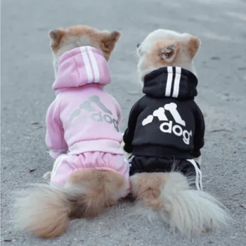 Šunelis kostiumas prancūzų buldogas hoodie mažylis kostiumas 7 spalvas pasirinkti šuniuką nustatyti Čihuahua Pug šuo dizaineris šunų drabužius