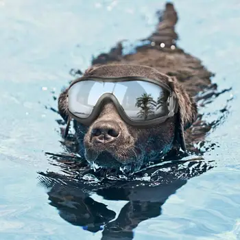 Šunelis Akiniai nuo saulės UV Apsauga Vėjo Anti-iųjų Akiniai Pet Akių Dėvėti Šunų Plaukimo Čiuožimo Akinius Accessaries