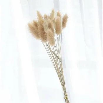 20pcs Natūralių Džiovintų Gėlių Triušio Uodega Žolės Krūva Spalvinga Lagurus Ovatus Nekilnojamojo Gėlių Puokštė Namų Vestuvių Dekoravimas
