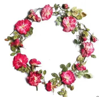 5-10vnt/daug Raudonos Rožės Žiedlapis Paspaudus Gėlės Mažų Džiovintų Gėlių 