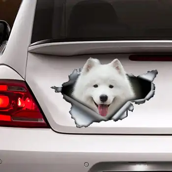 2021 Samoyed aplinkosaugos ¾enklelis, Samoyed automobilio lipdukas, pet lipdukas, šuo, lipdukas, decal šuo