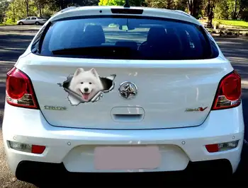 2021 Samoyed aplinkosaugos ¾enklelis, Samoyed automobilio lipdukas, pet lipdukas, šuo, lipdukas, decal šuo