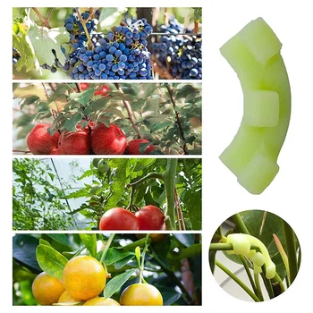 90 Laipsnių Augalų Treneris Mažai Streso Mokymo, Daržovių Narvus ir Palaiko Kontroliuoti Augimo Augalų (20Pcs)