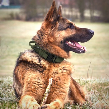Šunų Antkaklis Reguliuojamas Antkaklis Taktinis Šunų Antkaklis Su Rankena Patvari Karinės iš Nailono Aviganių Stambių vokietijos 2021