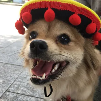 Vasaros Meksikos Stiliaus Šunelis Skrybėlę Lauko Šunys Dangteliai, Maži Dideli Šunys, Katės Reguliuojamas Šuniukas, Kačiukas, Skrybėlės Naminių Reikmenys