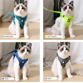 2020 Naujų Naminių Kačių Panaudoti Vest Akių Aukščio Apžvalginis Katė Vest Panaudoti Ėjimo Sukelti Mažų Šunų Panaudoti Pavadėlio Nustatyti Pet Shop XS-L